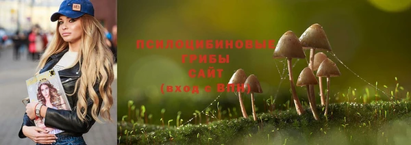 apvp Алзамай
