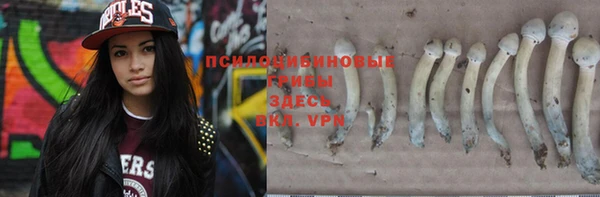 соль курить ск Алексин