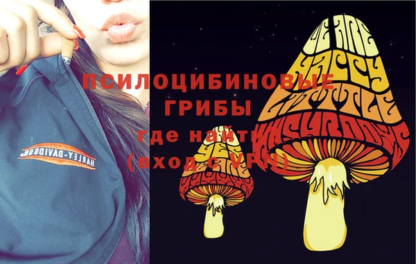 apvp Алзамай