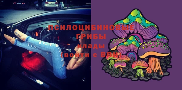 apvp Алзамай