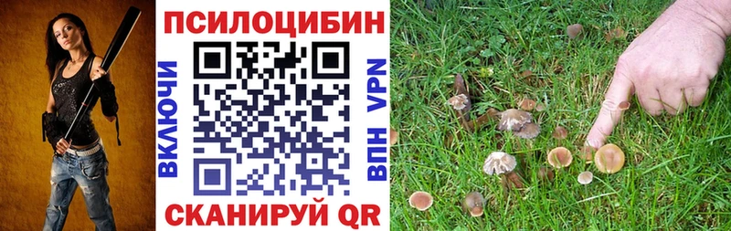 kraken зеркало  Сосенский  Псилоцибиновые грибы ЛСД 